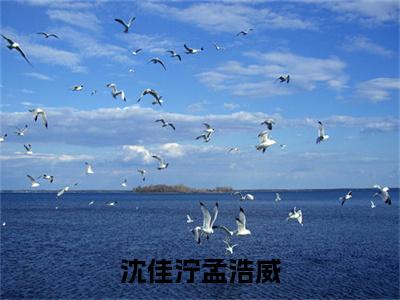 沈佳泞孟浩威免费小说-沈佳泞孟浩威小说完整版阅读