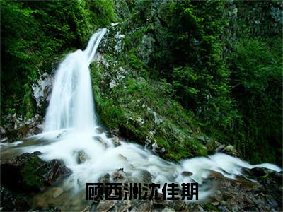 顾西洲沈佳期小说（沈佳期顾西洲全文完整版免费阅读）_顾西洲沈佳期小说免费最新章节列表_笔趣阁