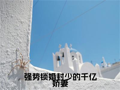 封斯爵苏寒笙全文免费阅读_（强势锁婚封少的千亿娇妻免费阅读无弹窗）封斯爵苏寒笙最新章节列表笔趣阁