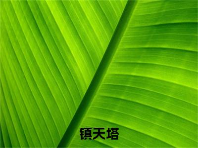 镇天塔（叶道渊）最新章节阅读-热点小说榜单推荐叶道渊