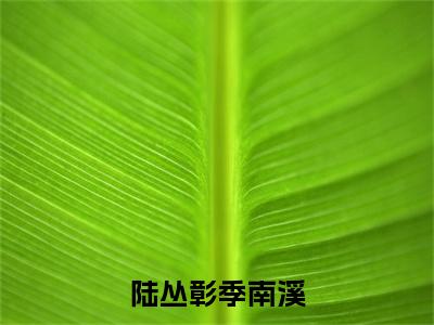 小说陆丛彰季南溪（季南溪陆丛彰）免费阅读-小说陆丛彰季南溪全文在线赏析