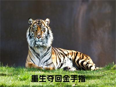 （全文）+（后续）（柳条儿李承泽）重生夺回金手指老书虫推荐小说热文-重生夺回金手指最新更新免费阅读