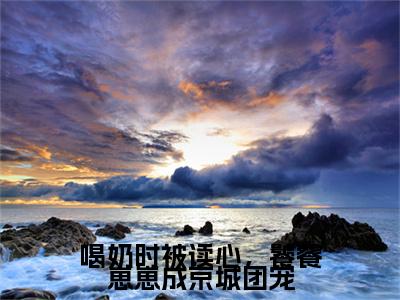 小说《宋瑶嘉》全文免费阅读无弹窗-喝奶时被读心，饕餮崽崽成京城团宠小说全文在线赏析