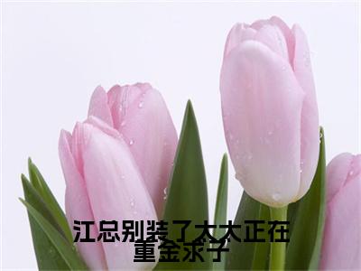 江总别装了太太正在重金求子（江砚舟沈知许）小说全文免费阅读_江总别装了太太正在重金求子最新章节小说免费阅读_笔趣阁江砚舟沈知许