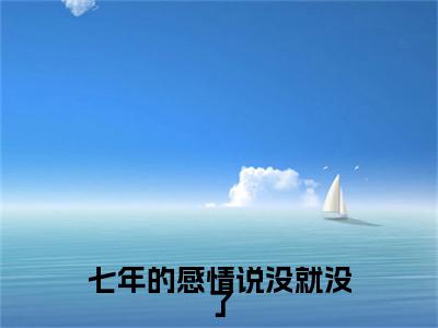 七年的感情说没就没了小说（唐沫沫陆以琤）全文在线阅读免费大结局_七年的感情说没就没了小说最新章节列表