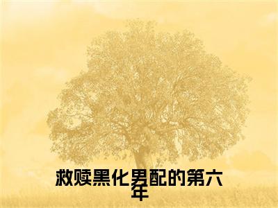 救赎黑化男配的第六年（安岚漪沈湛）全文免费阅读大结局_（安岚漪沈湛免费阅读）救赎黑化男配的第六年全文在线完本阅读