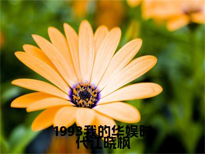 1993我的华娱时代江晓枫（江晓枫）全网首发最新小说-主角江晓枫全文在线免费阅读