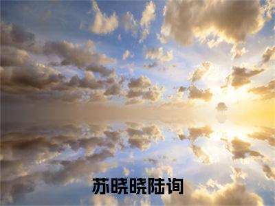 苏晓晓陆询（陆询苏晓晓）全文免费阅读无弹窗大结局_苏晓晓陆询（陆询苏晓晓）小说全文免费阅读最新章节列表