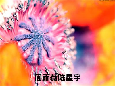 周雨薇陈星宇最新章节（陈星宇周雨薇）全文免费阅读无弹窗大结局_陈星宇周雨薇免费阅读