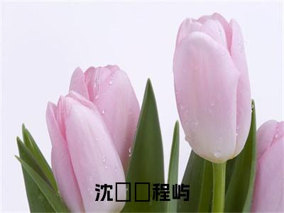 沈姈姈程屿（沈姈姈程屿全章节完整版）免费阅读_（沈姈姈程屿）全文无删减免费阅读（沈姈姈程屿）