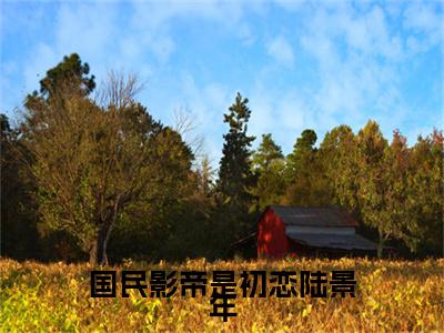 国民影帝是初恋陆景年全集章节小说免费阅读完整版（韩慕烟陆景年）-韩慕烟陆景年小说免费阅读