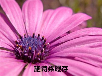 施诗梁砚存小说免费阅读施诗梁砚存全文无弹窗试读