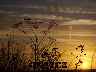 郑晚虞陆振霆陆振霆郑晚虞正版小说最新章节在线阅读-最火热点小说郑晚虞陆振霆最新更新