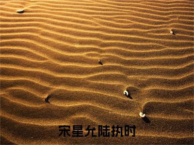 宋星允陆执时（宋星允陆执时）全文免费阅读无弹窗大结局_宋星允陆执时最新章节列表笔趣阁