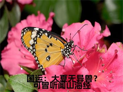 国运：大夏无异兽？可曾听闻山海经（沈川）小说多人阅读-小说沈川在哪里看免费