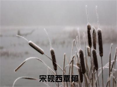 宋砚西覃郁（覃郁宋砚西）全文小说免费阅读_（覃郁宋砚西）宋砚西覃郁最新章节列表