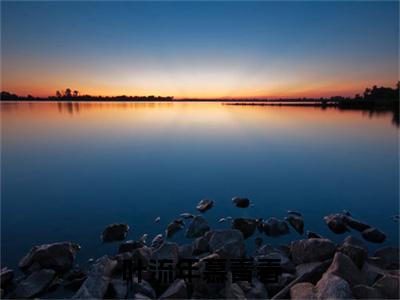 慕青春叶流年是什么小说-叶流年慕青春小说慕青春叶流年全文阅读