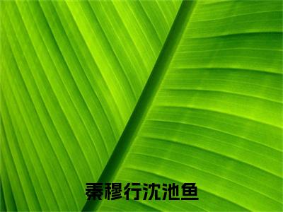 秦穆行沈池鱼小说（沈池鱼秦穆行）全文免费阅读无弹窗_秦穆行沈池鱼小说全文免费阅读）沈池鱼秦穆行最新章节列表笔趣阁