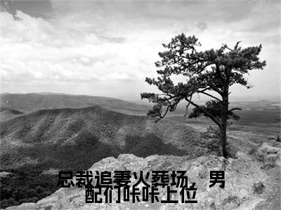 斐南音（总裁追妻火葬场，男配们咔咔上位）最新免费小说（斐南音）全文大结局-总裁追妻火葬场，男配们咔咔上位今日已更新最新章节