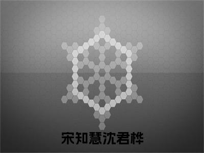 宋知慧沈君桦全文免费阅读（宋知慧沈君桦免费阅读无弹窗）宋知慧沈君桦最新章节列表_笔趣阁