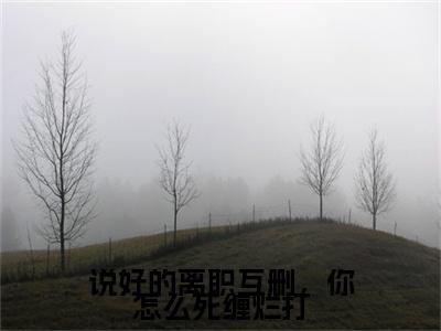 说好的离职互删，你怎么死缠烂打（孟昕陆子衍）全文免费阅读无弹窗大结局_说好的离职互删，你怎么死缠烂打小说全文免费阅读最新章节列表（孟昕陆子衍）