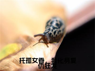 林天（托孤女眷，我化身复仇狂龙）全文免费阅读无弹窗大结局_林天小说最新章节列表_笔趣阁