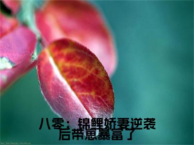 八零：锦鲤娇妻逆袭后带崽暴富了小说免费下载（八零：锦鲤娇妻逆袭后带崽暴富了完整全集已完结大结局小说）_宋暖暖免费阅读笔趣阁