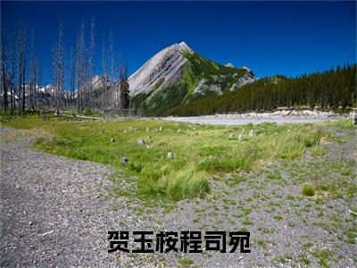 贺玉桉程司宛（贺玉桉程司宛）免费全文阅读小说_（贺玉桉程司宛）贺玉桉程司宛最新章节列表