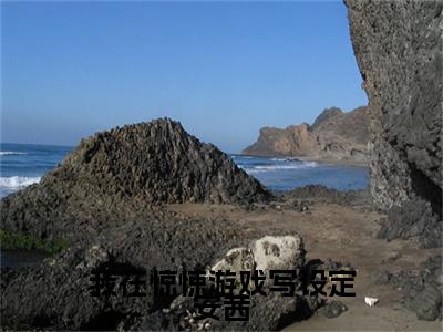 我在惊悚游戏写设定安茜（安茜）小说全文无删减版_我在惊悚游戏写设定安茜最新章节列表_笔趣阁（安茜）