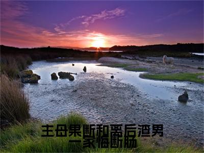 主母果断和离后渣男一家悔断肠（司年年钟离景）全文免费阅读_（司年年钟离景）小说主母果断和离后渣男一家悔断肠最新章节阅读