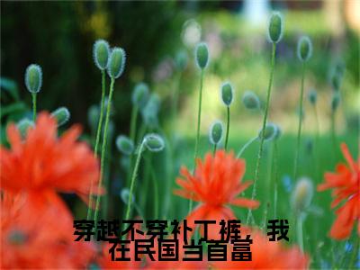 主角叫卫渺的小说-（穿越不穿补丁裤，我在民国当首富）卫渺全文无弹窗完整版阅读