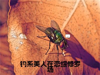 钓系美人在恋综修罗场（池鹿）精彩小说-小说池鹿全文无删减版免费阅读