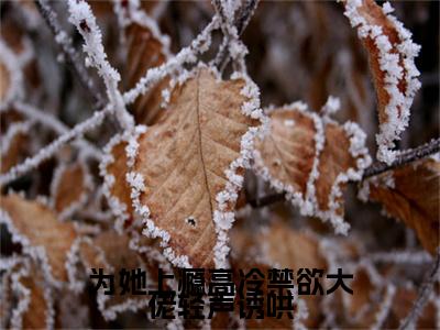 为她上瘾高冷禁欲大佬轻声诱哄（商叙黎念）全文无弹窗大结局_为她上瘾高冷禁欲大佬轻声诱哄在线阅读无弹窗最新章节列表_笔趣阁