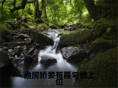 通房娇妾有喜勾他上位（锦歌陈靖忱）全文免费阅读_（锦歌陈靖忱）小说通房娇妾有喜勾他上位最新章节阅读