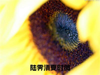 陆霁清夏时微（陆霁清夏时微）全文免费阅读无弹窗大结局_陆霁清夏时微_笔趣阁