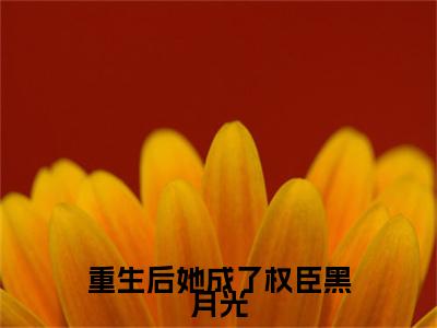 重生后她成了权臣黑月光（阮凝玉谢凌）完整版全文在线赏析-重生后她成了权臣黑月光精彩美文摘抄