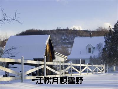 江秋月顾霆野（江秋月顾霆野）是哪部小说的主角-江秋月顾霆野（江秋月顾霆野）全文无弹窗完整版阅读