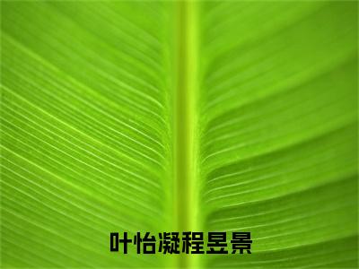 叶怡凝程昱景长篇免费小说，叶怡凝程昱景最新章节在线阅读