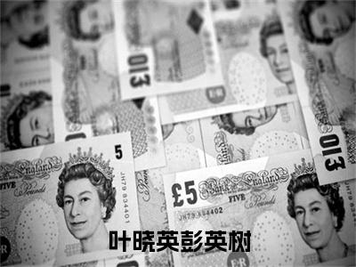 叶晓英彭英树全文免费阅读无弹窗大结局_叶晓英彭英树最新章节列表_笔趣阁