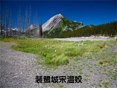 裴鹭城宋温姣全文免费（裴鹭城宋温姣）全文免费阅读无弹窗大结局_（裴鹭城宋温姣全文免费）