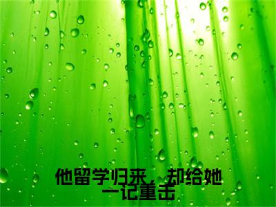 他留学归来，却给她一记重击（程向晚江云舟）小说全文免费_他留学归来，却给她一记重击（程向晚江云舟）最新章节目录笔趣阁