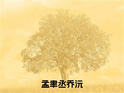 孟聿丞乔沅（孟聿丞乔沅）小说全文免费阅读无弹窗大结局_孟聿丞乔沅（孟聿丞乔沅）最新章节列表