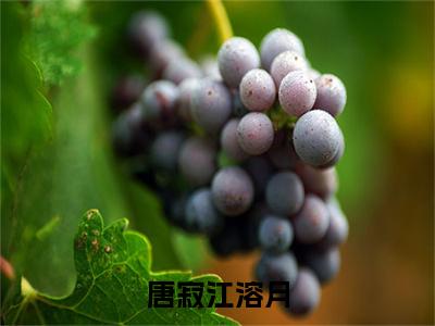 唐寂江溶月免费阅读无弹窗大结局，唐寂江溶月（最新全章节）全文阅读免费阅读-笔趣阁