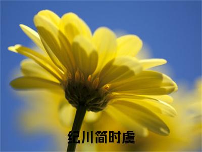 （纪川简时虞）纪川简时虞全文免费阅读无弹窗大结局_纪川简时虞全文免费完结版阅读（纪川简时虞）