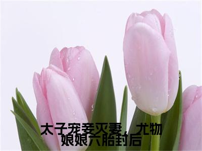 燕翌洬姜鸢浅小说免费（太子宠妾灭妻，尤物娘娘六胎封后）全文免费阅读无弹窗-太子宠妾灭妻，尤物娘娘六胎封后小说全文免费阅读最新章节列表