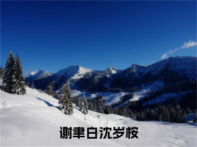 沈岁桉谢聿白（谢聿白沈岁桉）全文免费阅读无弹窗大结局_沈岁桉谢聿白最新章节列表_笔趣阁（谢聿白沈岁桉）