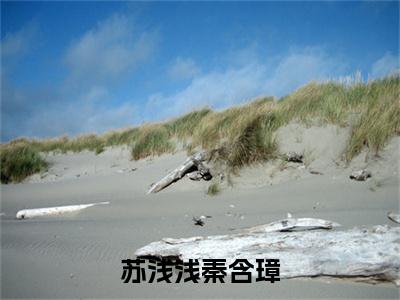 苏浅浅秦含璋（苏浅浅秦含璋）小说全文免费阅读正版无弹窗_（苏浅浅秦含璋）免费阅读无弹窗最新章节列表