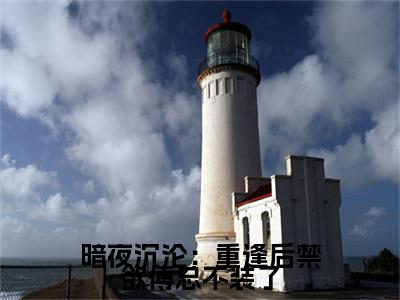 暗夜沉沦：重逢后禁欲傅总不装了（傅景渊桑榆）全文免费阅读无弹窗无删减_小说（暗夜沉沦：重逢后禁欲傅总不装了）傅景渊桑榆最新章节列表笔趣阁