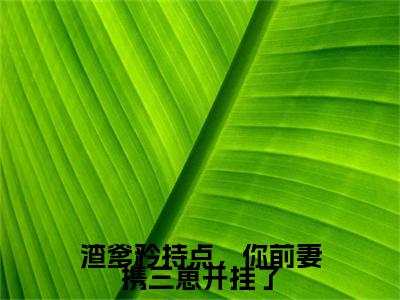 渣爹矜持点，你前妻携三崽开挂了（陆夕柠）完整版小说阅读_渣爹矜持点，你前妻携三崽开挂了全文免费阅读最新章节列表_笔趣阁