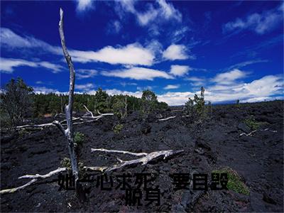 她一心求死，要自毁脱身（陆倍炀宋智暖）全文免费阅读_（陆倍炀宋智暖）最新章节小说免费阅读（她一心求死，要自毁脱身）